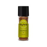 Hayfene 40 gr Kajun Baharatı