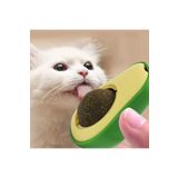 hayhall Avokado Catnip Avokado Kedi Otu Topu Avokado Kedi Nanesi Oyuncağı