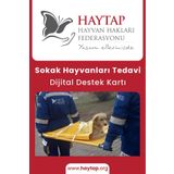 Haytap Sokak Hayvanlarına Umut: Tedavi Dijital Destek Kartı