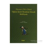 HAZRET-I DIL-I DANA OĞLAN ŞEYH İBRAHIM EFENDI KÜLLIYATI - KOLEKTIF