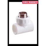 HBG Markt Mey Ithalat® Pvc Boru Pprc Dış Dişli Te 20X1/2'' 10 Adet - Standart