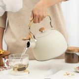 HBMB Store 2.5l Paslanmaz Çelik Düdüklü Su Isıtıcısı Demlik Islıklı Kettle
