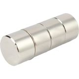 Hdg Neodyum Mıknatıs Magnet Güçlü Çekim Yuvarlak - 25x10 mm - Gümüş - 1 Adet