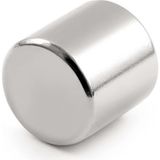 Hdg Neodyum Mıknatıs Magnet Silindir 20X20 mm ( 2 cm Çap - 2 cm Kalınlık ) - 2 Adet - Gümüş
