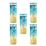 Head Pro 3x5'li 15 Adet Tenis Topu 571512