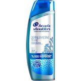 Head & Shoulders 300 ML Derinlemesine Temizlik Yoğun Ferahlık Deniz Mineralleri Şampuan