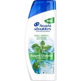 Head & Shoulders Buzlu Mentol Ferahlığı Şampuan 625 ml - 2 Adet
