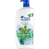 Head & Shoulders Buzlu Mentol Ferahlığı Şampuan 800 ml 2 Adet