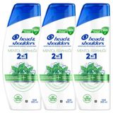 Head & Shoulders Mentol Ferahlığı 2'si 1 Arada Kepeğe Karşı Etkili Şampuan 300ml 3lü paket