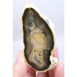 Healcrystal Doğal Kahverengi Dendritik Opal Merlinit Dilimi - Topraksı Kahve & Krem Cila Taşı, 87g