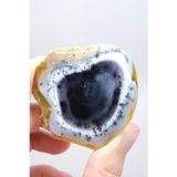 Healcrystal Nadir "Kış Ormanı" Merlinit Dilimi (Mavi ve Beyaz Dendritik Opal) - Cilalanmış Portal Koleksiyoncuya