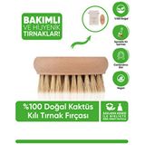 Healing Care %100 Doğal&vegan Kaktüs Kılı Tırnak Fırçası 1 Adet (SAKLAMA KESESİ İLE BİRLİKTE)