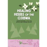 Healing Herbs of the Ojibwa: Rediscovering a tea for detox and immune boost