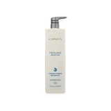 Healing Moisture: Tahiti Tamanu Fındık Yağı Içeren Ideal Nemlendirici Şampuan 1000ML ECBEAUTY!Q490