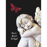 Heaven Gained an Angel: Funeral Guest Book (Cherub Angel Picture) for Memorial Services and Condolence Messages. Registry Sign in Book with Name, Address Line, Email, Phone, Comments