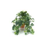 Hedera Helix Orman Sarmaşığı Askılı Saksı