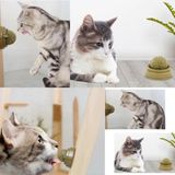 Hediye Bahçesi Kedi Nanesi Oyun Topu - Renkli