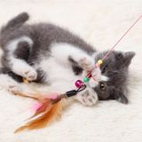 Hediye Bahçesi Kedi Oyun Oltası 90 cm - Renkli
