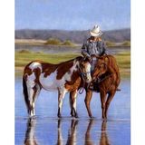 Hediye Çerçeveli 40x50 Sayılarla Boyama Hobi Seti