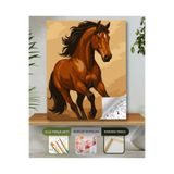hediye hobim Sayılarla Boyama Seti 40x50 Cm (Çıtalı) Fırça Boya Dahil Numaralı Tuval-At Portre