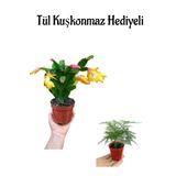 Hediyelik Sarı Renk Yılbaşı Çiçeği Kadınlar Gününe Özel Tül Kuşkonmaz