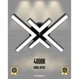 Hegza Lighting Arana (Siyah Kasa, Doğal Beyaz) Ledli Modern Plafonyer LED Avize Salon Mutfak Oturma Odası Antre Hol Çocuk Odası LED