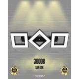 Hegza Lighting Compagno (Siyah Kasa, Sarı Işık) Ledli Modern Plafonyer LED Avize Salon Mutfak Oturma Odası Yatak Odası Antre Hol LED