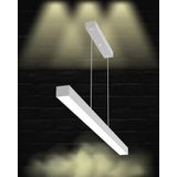 Hegza Lighting LİNEER-100 Ayarlanabilir Sarkıt LEDli Modern Gri Kasa Led Avize (3000K (Sarı Işık))