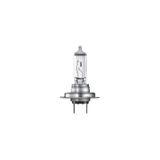 Hejalux H7 Ampul 12V 55W 13553 Made In Germany Çiftli X2