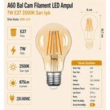 Heka A60 Bal Cam Filament LED Ampul 7W E27 2500K Sarı Işık ERD-314 - Tekli