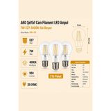Heka A60 Şeffaf Cam Filament LED Ampul 7W E27 4000K Ilık Beyaz ERD-311 3'lü