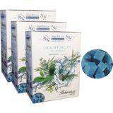 Hekimhan 3 Kutu Okaliptus Çayı Hekimhan Küp Şeker Şeklinde Okaliptus Çayı Kış Çayı Okaliptus Küpü - 510 gr