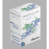 Hekimhan Okaliptuslu Mentollü Küp Çay 150 gr - 1 Adet