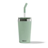 Helia Çift Cidarlı Vakum Yalıtımlı Termos, 0,45 L, Yeşil, Cam Pipet ve Temizleme Fırçası ile