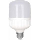 Helios Termo Torch Beyaz 50W LED Ampul E-27 Duy Tipi ile Enerji Tasarruflu Aydınlatma