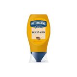 Hellmann's Hardal 250 gr x 12 Adet (Koli)