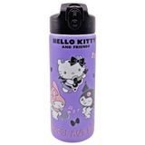 Hello Kitty And Friends Mor Çelik Matara 600 ml 3448