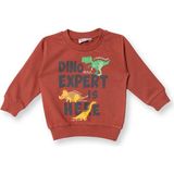 Hellobaby Erkek Bebek Sweatshirt Dinazor Baskılı Bisiklet Yaka Uzun Kol - Kahverengi - 1 Yaş