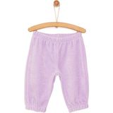 HelloBaby HelloBaby Basic Lastikli Kadife Eşofman Alt Kız Bebek - Lila - 9 Ay