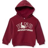 Hellobaby Hellobaby, Erkek, Kapüşonlu Sweatshirt, Dinozor Baskılı, Kapüşonlu, Uzun Kol - Bordo - 12 - 18 Ay