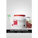 Hellobari Formula Protecoll | Whey Protein ve Kollajen | Kakaolu | 10 Porsiyon