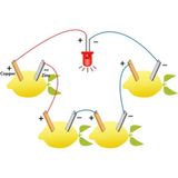 Hellove Limon Deney Seti Limondan Elektrik Üretimi Yapım Seti Limon Pili - 1 Adet - Renkli