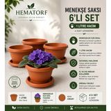 Hematorf Menekşe Saksı 1 Litre - 6 Adet