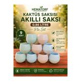 Hematorf Renkli Kaktüs saksısı 0,86 lt- 9 adet