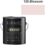 Hemel Arge Toptan X-Paint Nexus Soft Mat Su Bazlı Dönüşüm Boyası 2.5 Lt 120-BLOSSOM - BLOSSOM-120