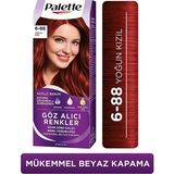 HemenGo BZS7896 Göz Alıcı Renkler Saç Boyası - 6-88 Yoğun Kizil HMNG8632 - Belirtilmemiş