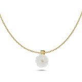 Hems Jewellery Jasmine Pırlanta Taşlı Sedef 14 Ayar Altın Kadın Kolye - Standart