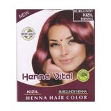 Henna Vital Kına Kızıl Renkli Amonyaksız Saç Boyası Canlı Renkler ve Saç Bakım Etkisi