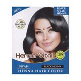 Henna Vital Kına Siyah Black Henna Hair Color