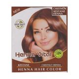 Henna Vital Vital Kına Kızıl Kestane
